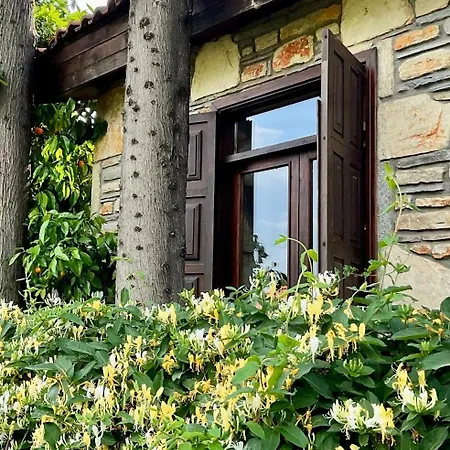 Kamarca House Ortaca (Mugla)