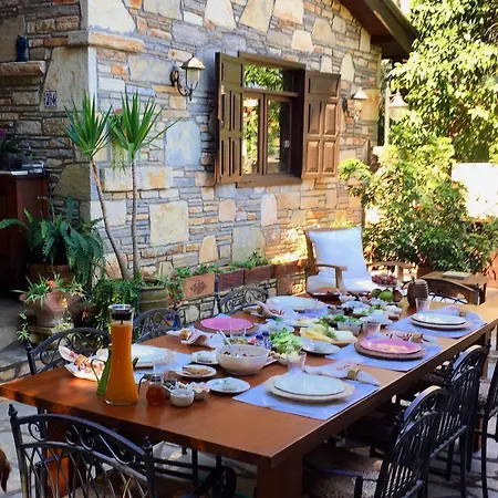 Kamarca House Ortaca (Mugla)